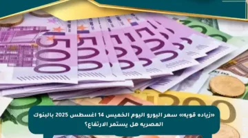 «زيادة قوية» سعر اليورو اليوم الخميس 14 أغسطس 2025 بالبنوك المصرية هل يستمر الارتفاع؟